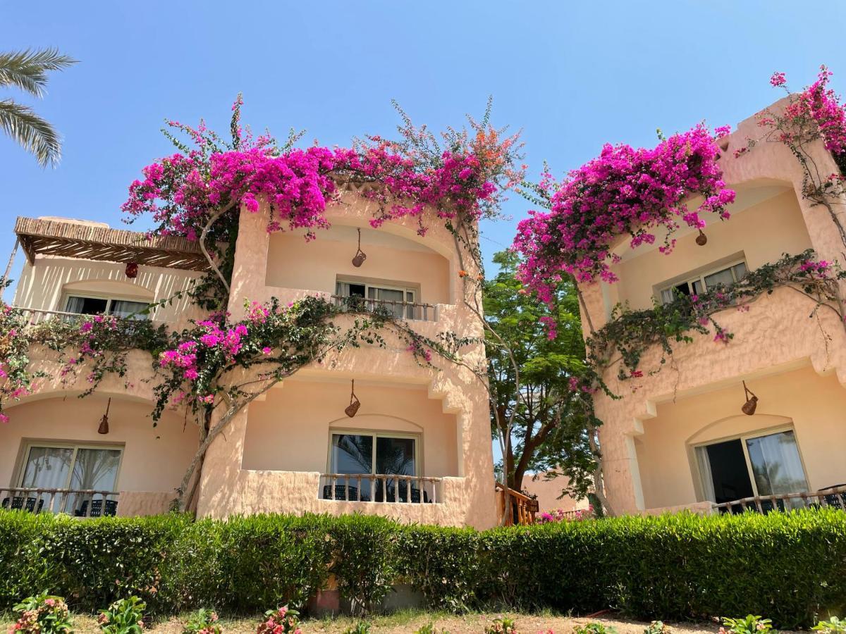 Blue Lagoon View Resort & Spa Marsa Alam Exterior photo